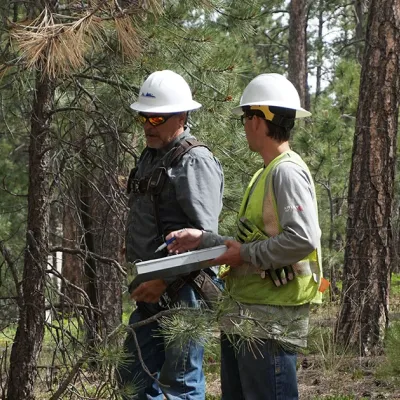 men in work hats in the forest assessing fire mitigation plans